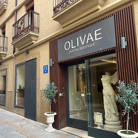 Olivae Hostal Boutique Caceres Ngoại thất bức ảnh
